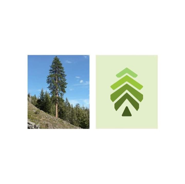 FB IMG logos design by Tomiwa Ola