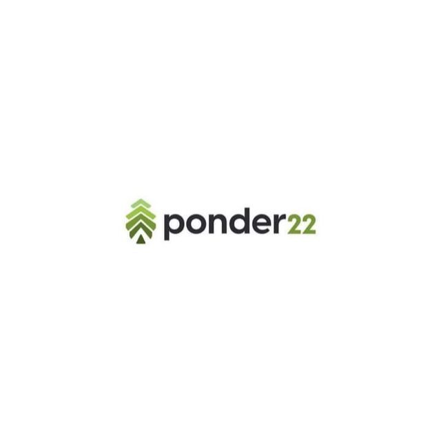 Logo design preview